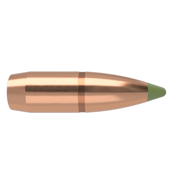 .375 Nosler E-Tip 260 grainia 50 kpl - .375-.378 - 14560 - 1