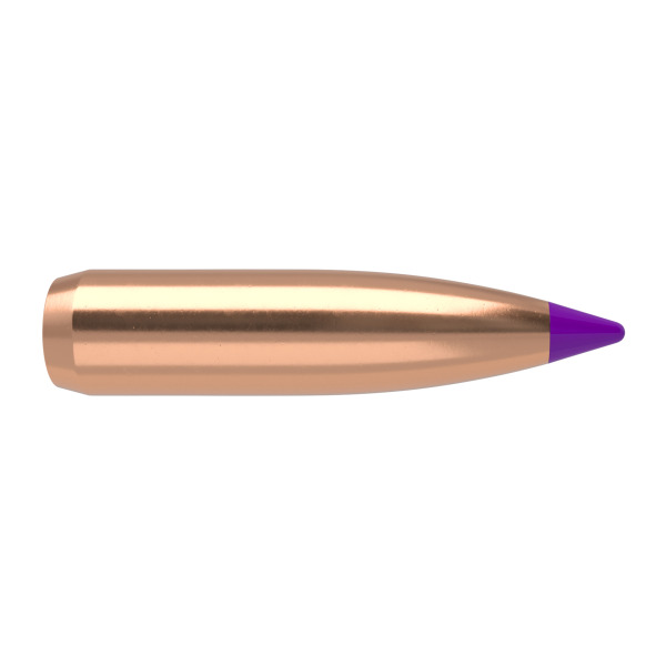 6 mm Nosler BallisticTip 90 grainia Spitzer 50 kpl - 6 mm (.243) - 14640 - 1