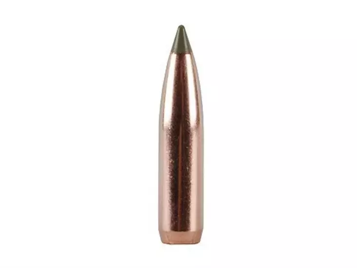 .308 Nosler E-Tip 180 grainia 50 kpl - .308 - 12781 - 1