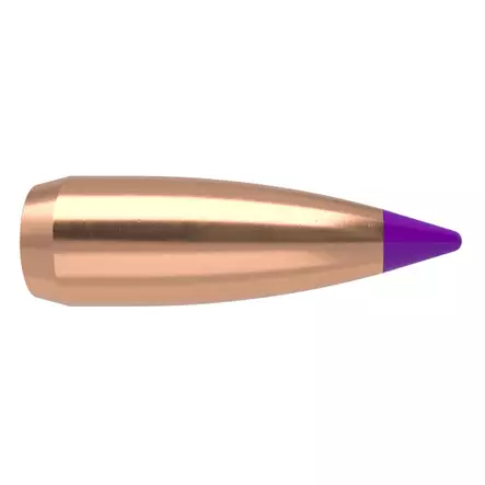 6 mm Nosler BallisticTip 55 grainia Spitzer 100 kpl - 6 mm (.243) - 14632 - 1