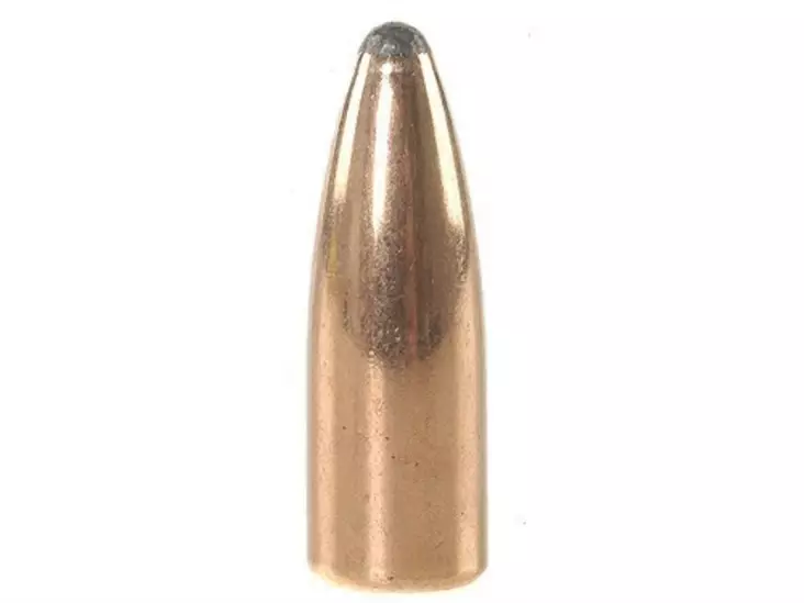 .224 Speer 55 grainia SP Spitzer 100 kpl - .224 - 12882 - 1
