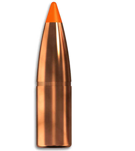 .308 Norma Tipstrike 170 grainia 100 kpl - .308 - 12293 - 1