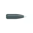 .308 Nosler BallisticSilverTip 150 grainia Spitzer 50 kpl - .308 - 10134 - 1