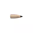 6 mm Nosler Varmageddon 55 grainia 250 kpl - 6 mm (.243) - 14634 - 1