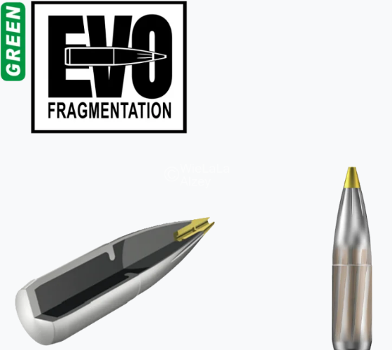 .308 RWS EVO Green 9,0 g 50 kpl - .308 - 13725 - 1