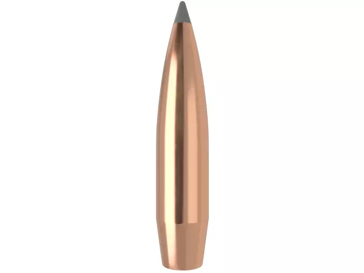 .338 Nosler AccuBond-LR 265 grainia Spitzer 100 kpl - .338 - 13055 - 1