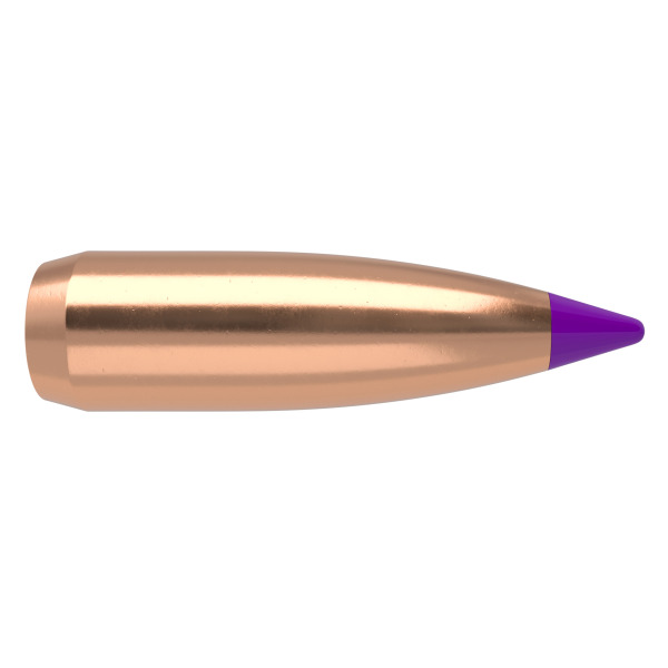 6 mm Nosler BallisticTip 70 grainia Spitzer 100 kpl - 6 mm (.243) - 14635 - 1