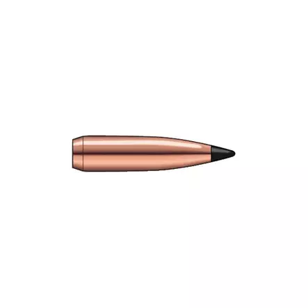 6 mm Swift Scirocco 2 90 grainia Spitzer BT 100 kpl - 6 mm (.243) - 14667 - 1