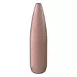 .224 Speer 75 grainia Gold Dot 100 kpl - .224 - 14257 - 1