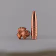 .308 NPB 170 grainia Hunting Expandable 50 kpl - .308 - 24447 - 2