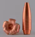 9,3 mm NPB 210 grainia Hunting Expandable 50 kpl - 9,3 mm (.366) - 24597 - 2