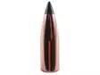 .224 Nosler Varmageddon 53 grainia 100 kpl - .224 - 13048 - 1