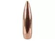 .308 Lapua Scenar 10,85 g 100 kpl (GB422) - .308 - 11698 - 1