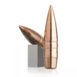.308 Lehigh 150 grainia Match Solid 50 kpl - .308 - 14298 - 1