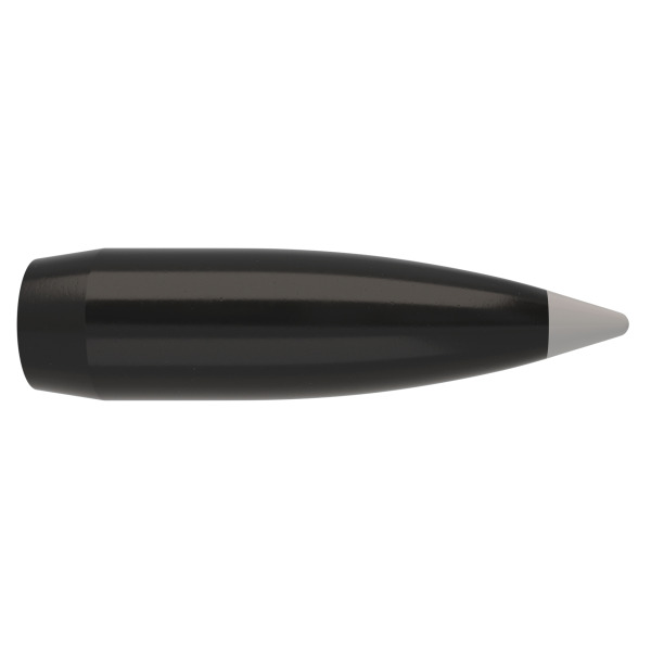 .338 Nosler BallisticSilverTip 200 grainia Spitzer 50 kpl - .338 - 14538 - 1