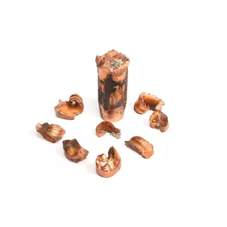 .416 Cutting Edge 400 grainia Maximus Hunt 50 kpl - .416 - 14879 - 2