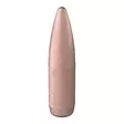 .224 Speer 75 grainia TMJ 100 kpl - .224 - 14219 - 1