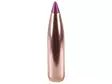 6 mm Nosler BallisticTip 95 grainia Spitzer 50 kpl - 6 mm (.243) - 12789 - 1
