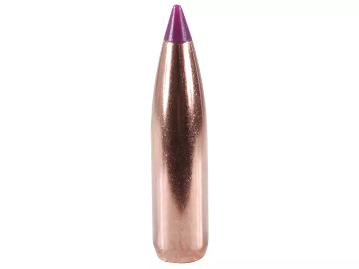 6 mm Nosler BallisticTip 95 grainia Spitzer 50 kpl - 6 mm (.243) - 12789 - 1