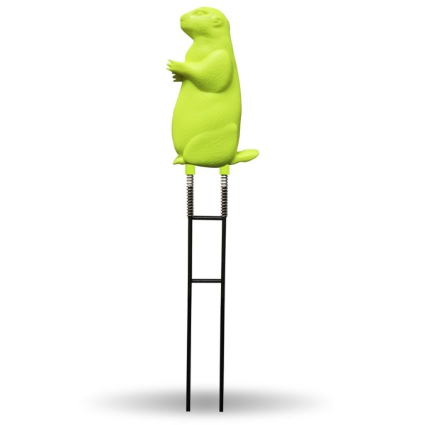 Birchwood preeriakoirataulu - Reagoivat taulut - 13569 - 1